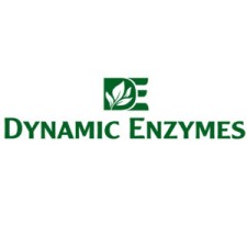 DYNAMIC ENZYMES