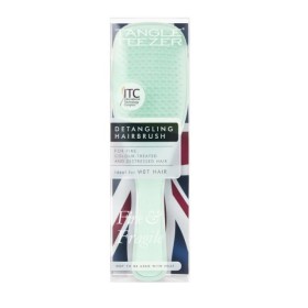 Tangle Teezer Detangling Hairbrush F&F Mint Βούρτσ …