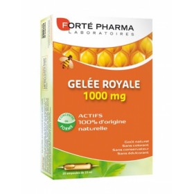 FORTE PHARMA GELEE ROYALE 1000MG 20AMP ​​X 10ML