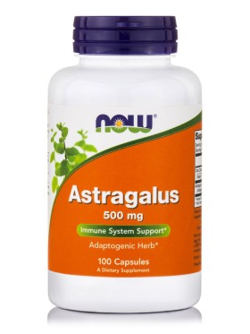 Now Foods Astragalus 500mg 100Caps