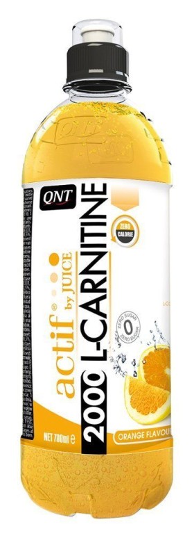 QNT L-Carnitine …