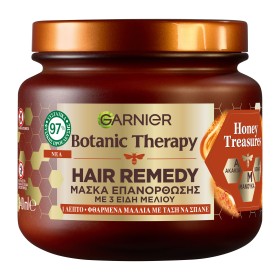 Garnier Botanic Therapy Hair Remedy Honey Treasure …