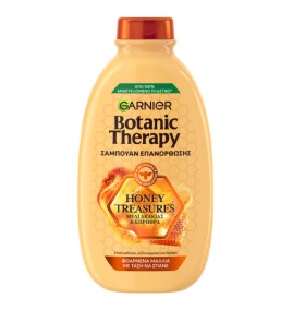 Garnier Botanic Therapy Honey Treasures Shampoo Σα …