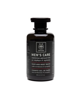 Apivita Mens Care ΣΑΜΠΟΥΑΝ-ΑΦΡΟΛΟΥΤΡΟ 250ML