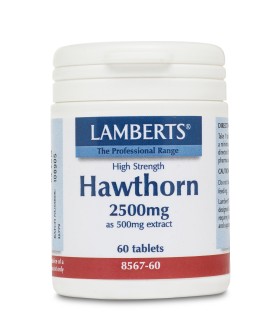 LAMBERTS HAWTHORN 2500MG 60TABS