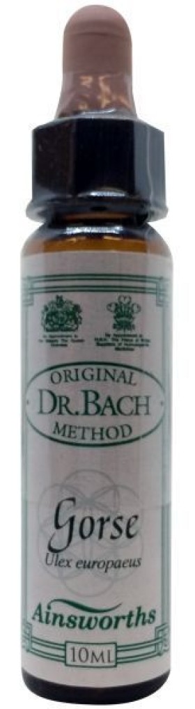 DR.BACH Ainsworths Gorse 10ml