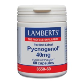 LAMBERTS PYCNOG …