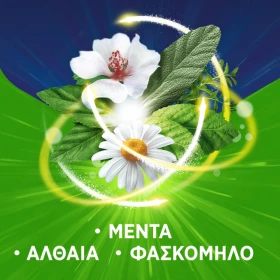 28284