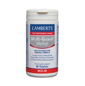 Lamberts Multi Guard Methyl 60 Tablets
