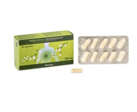 Mastiha Var. Chia Συμπλήρωμα Μαστίχας Χίου 350mg 3 …