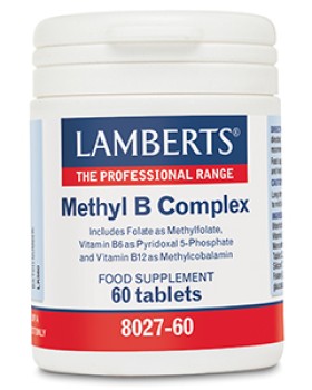 LAMBERTS METHYL …