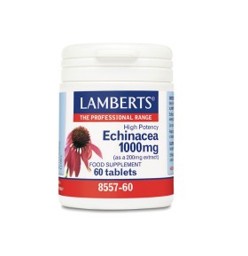 LAMBERTS ECHINA …