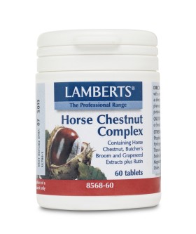 LAMBERTS HORSE …