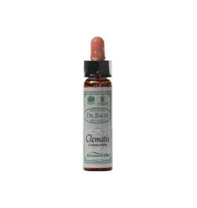 DR.BACH Ainsworths Clematis 10ml