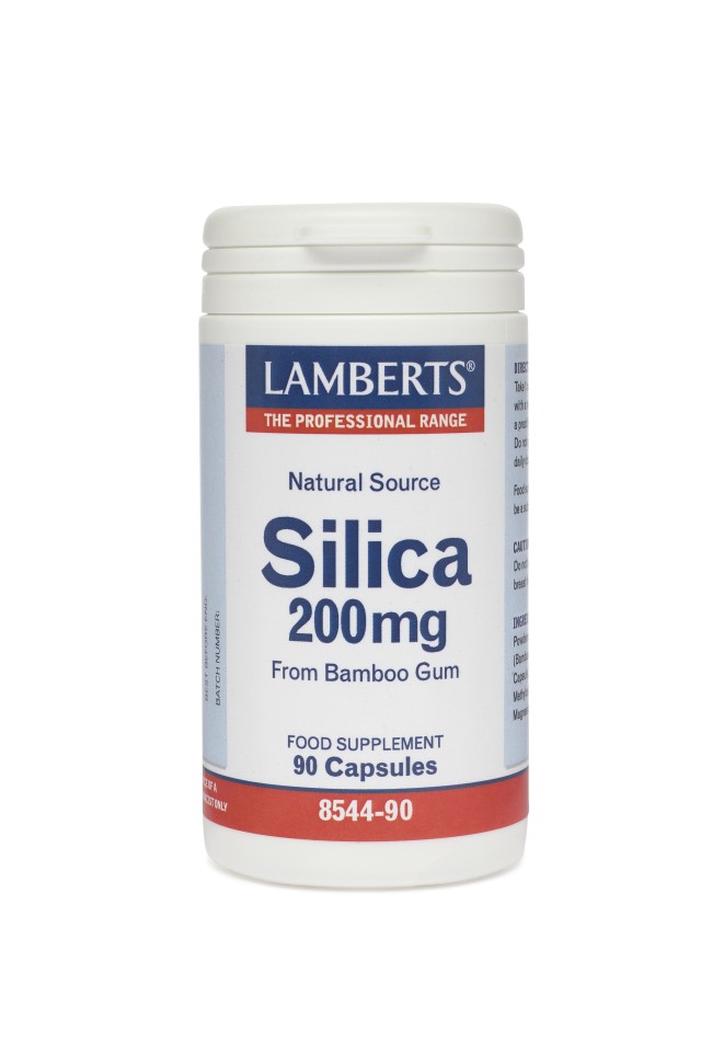 LAMBERTS SILICA 90CAPS