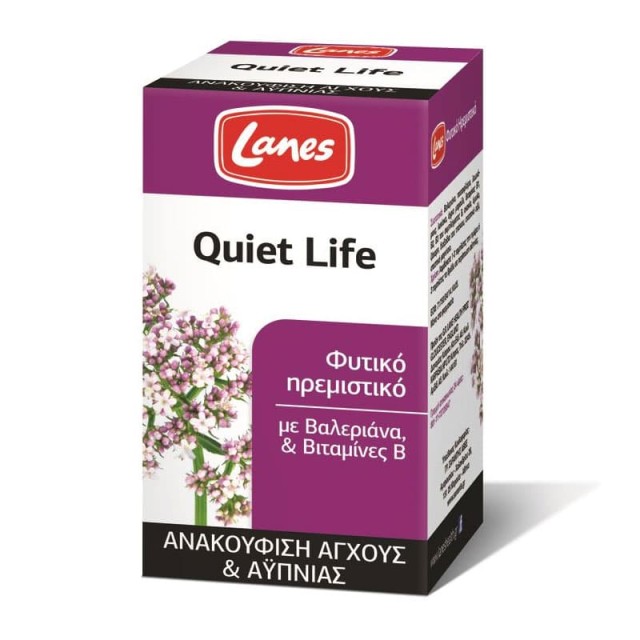 LANES QUIET LIFE 100TAB
