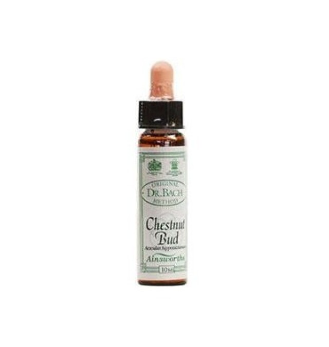 DR.BACH Ainsworths Cestnut Bud 10ml