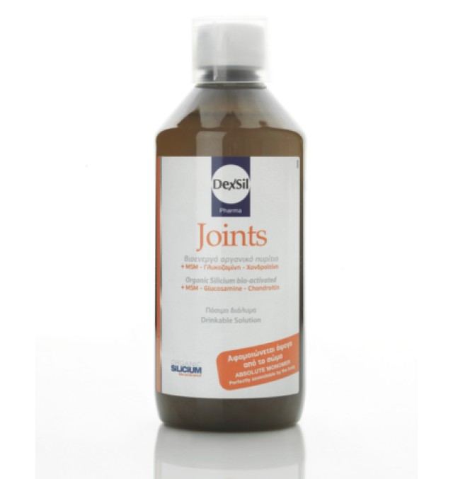 Dexsil Joints + MSM Oral 500ml