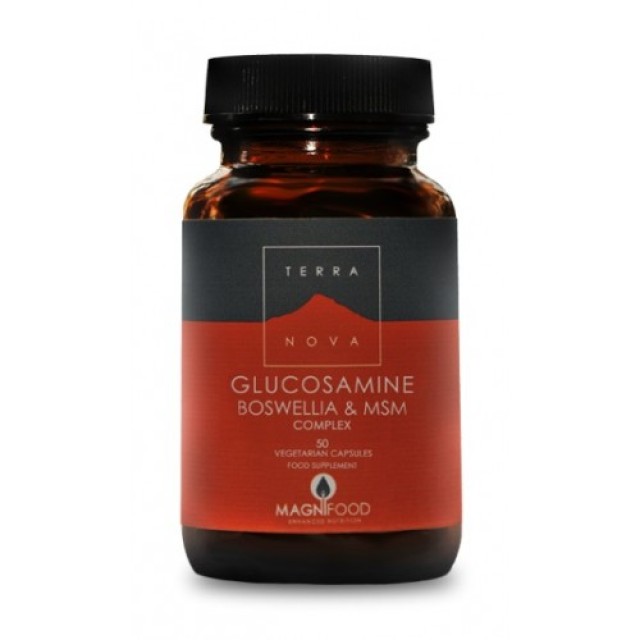 TERRANOVA GLUCOSAMINE BOSWELLIA & MSM COMPLEX 100vcaps