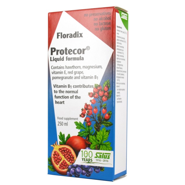 POWER HEALTH Floradix Protecor Liquid Formula 250ml