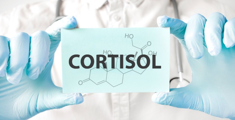 Κορτιζόλη και Άγχος: Τα συμπληρώματα που βοηθούν στη «Μακροζωία» (Longevity)